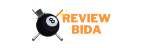 Logo reviewbida