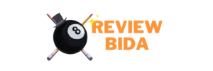 Logo reviewbida