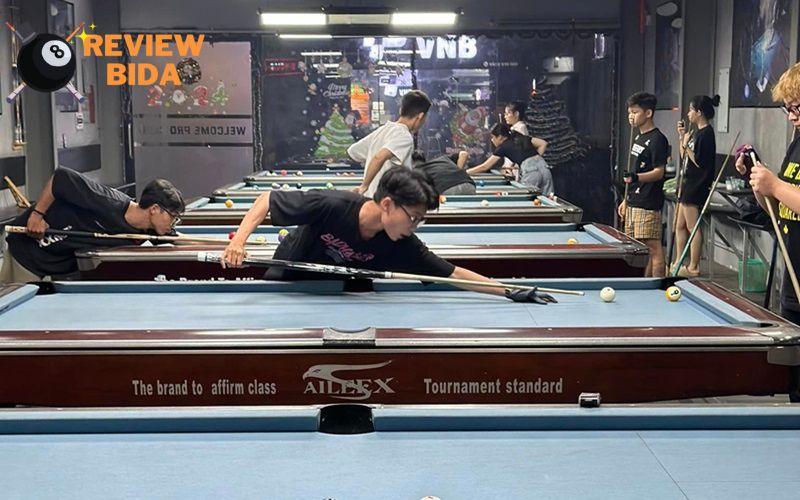 Giới thiệu đôi nét về Proclub Billiards Q10