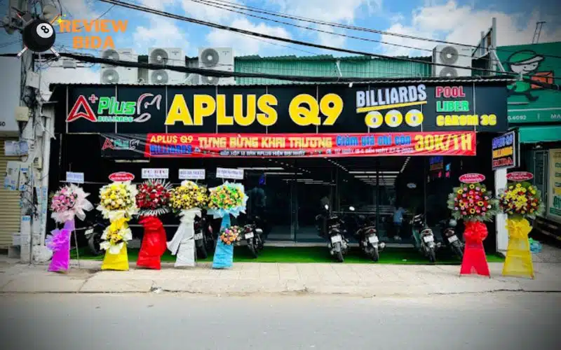 aplus q9 billiards