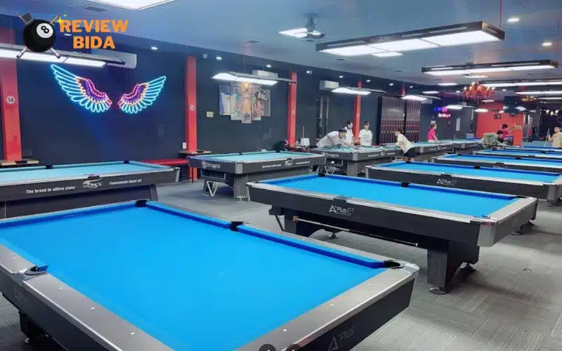 Thông tin giới thiệu về địa điểm bida Củ Chi - Gấu Billiards Club