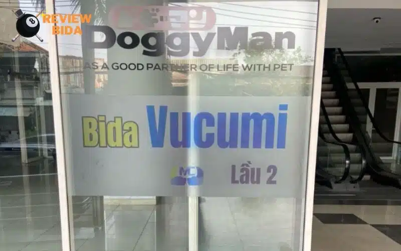 Review phòng tập Bida Vucumi tại Tân Phú, Hồ Chí Minh