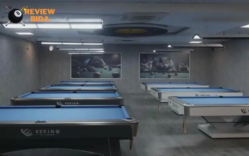 Pegasus Billiards mang đến trải nghiệm tuyệt vời cho khách hàng