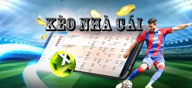 Phân tích thông tin trước khi soi kèo